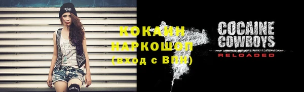 стафф Алзамай
