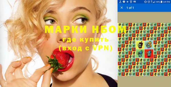стафф Алзамай