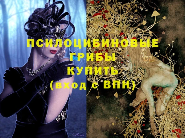 стафф Алзамай