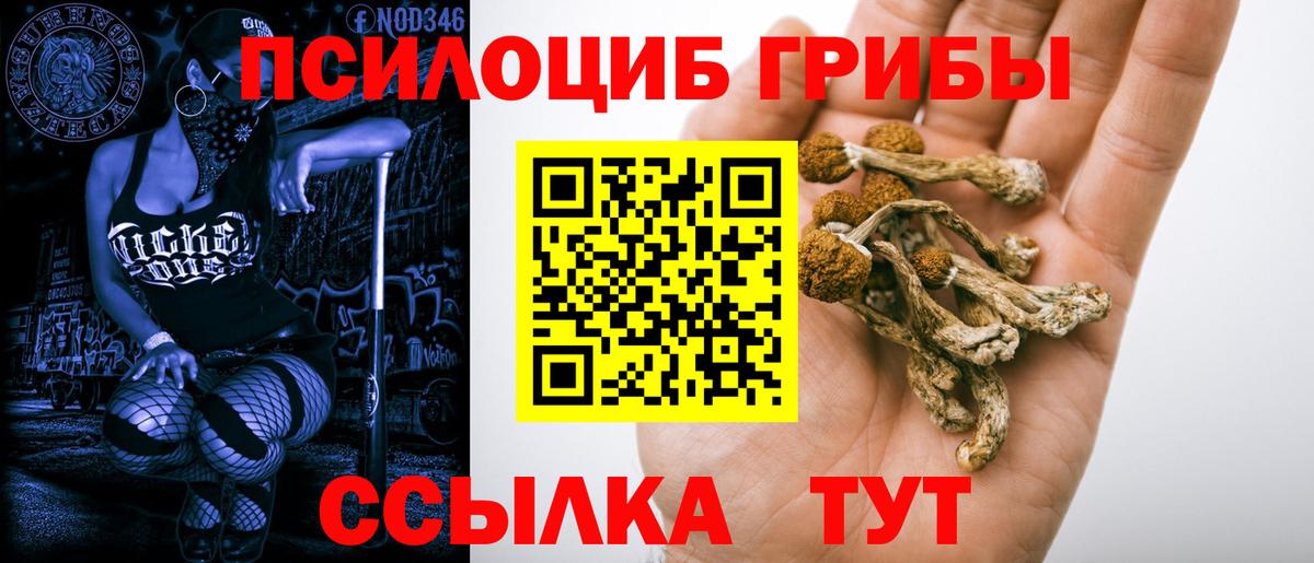 Галлюциногенные грибы Cubensis  Вход с VPN  Ленинск-Кузнецкий 